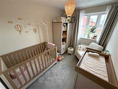 Picture 15